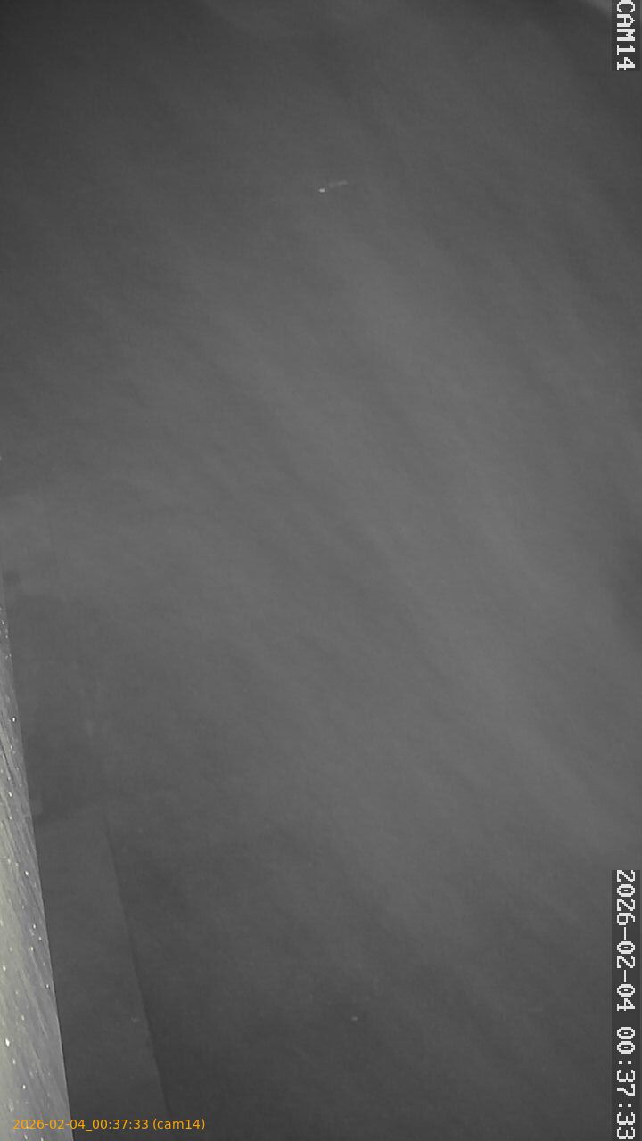 thumbnail_20260204003733