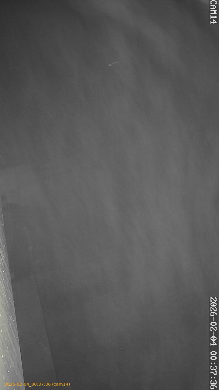 thumbnail_20260204003736