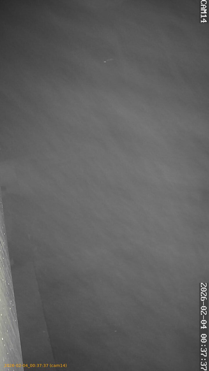 thumbnail_20260204003737