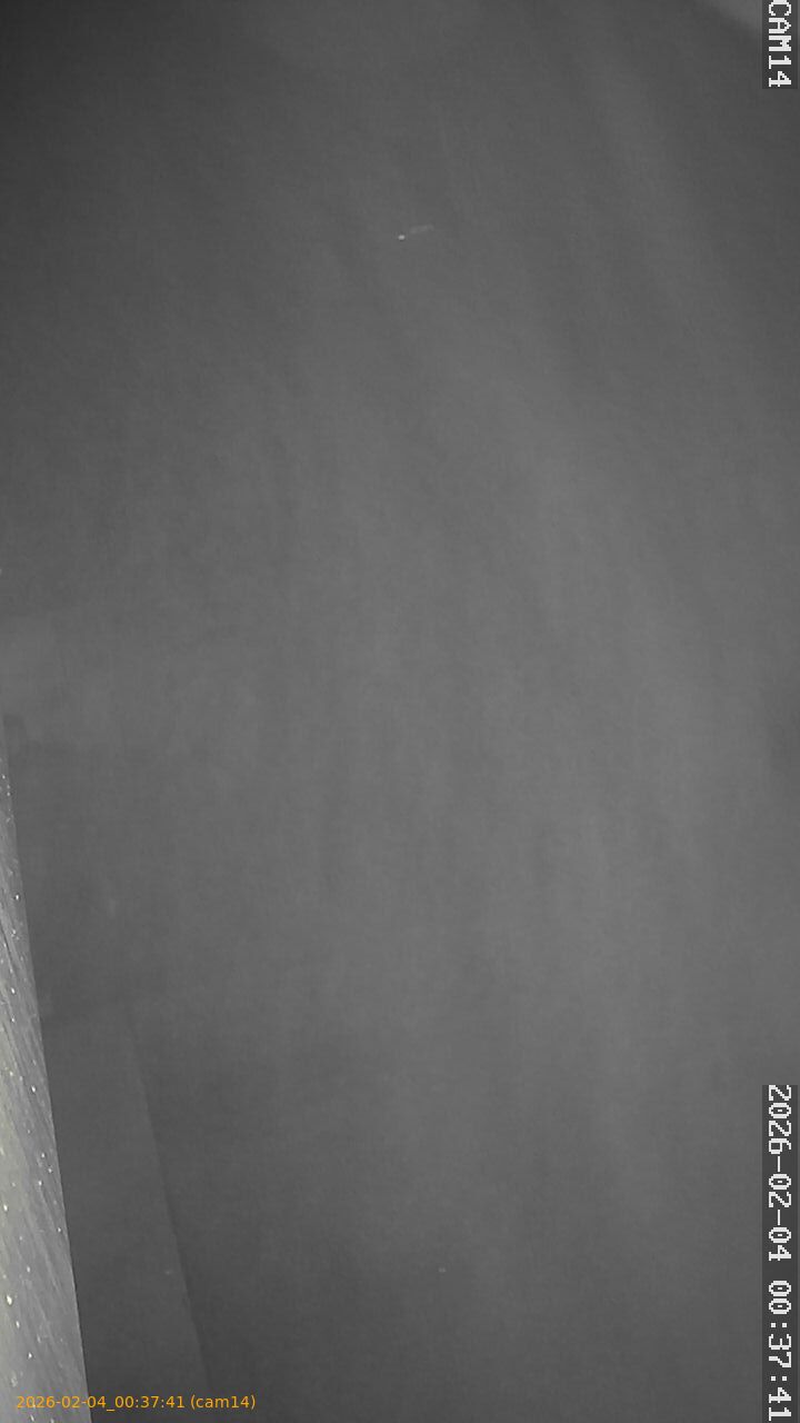 thumbnail_20260204003741