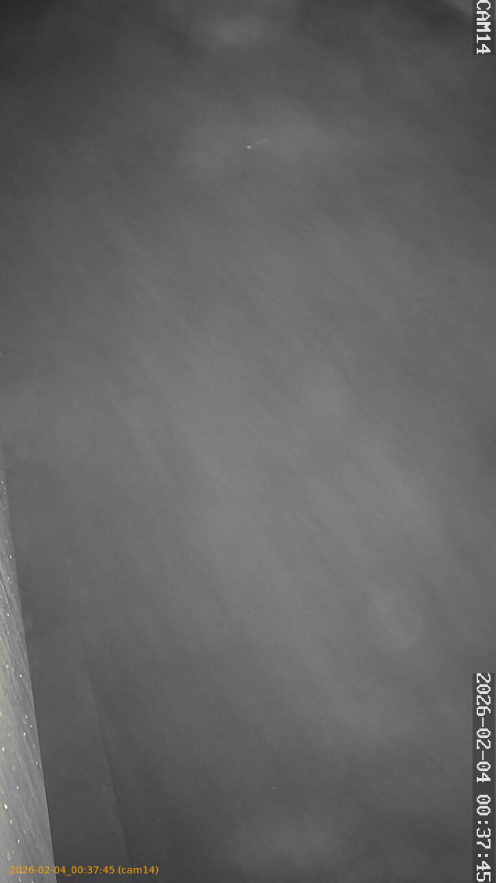 thumbnail_20260204003745