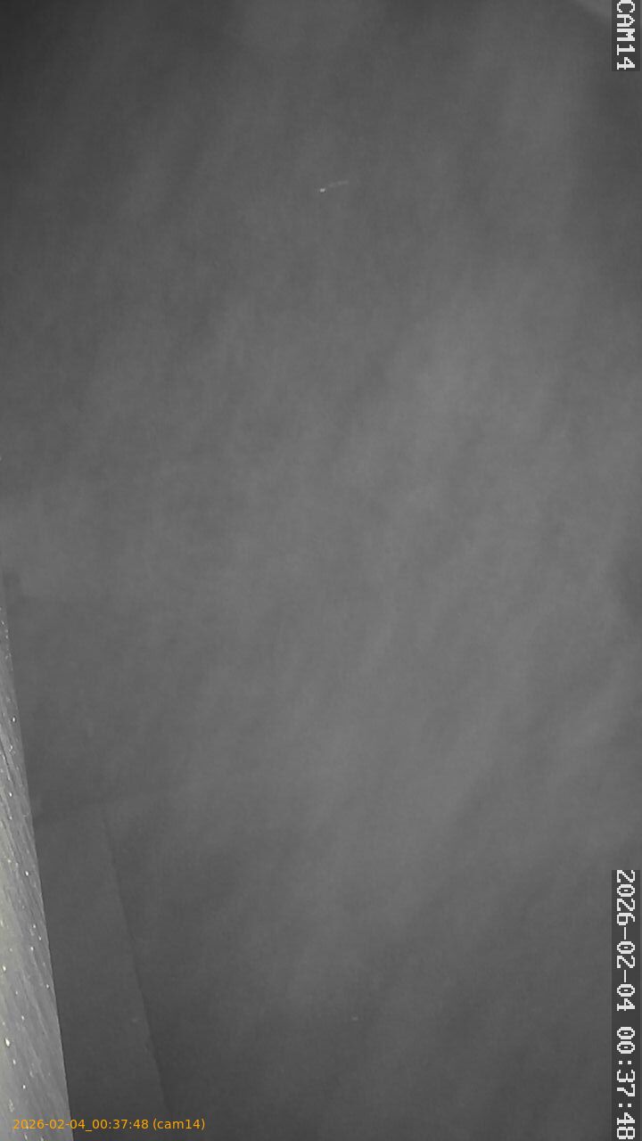 thumbnail_20260204003748