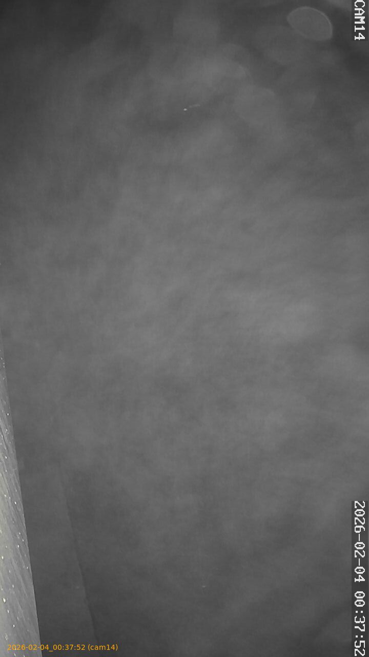 thumbnail_20260204003752