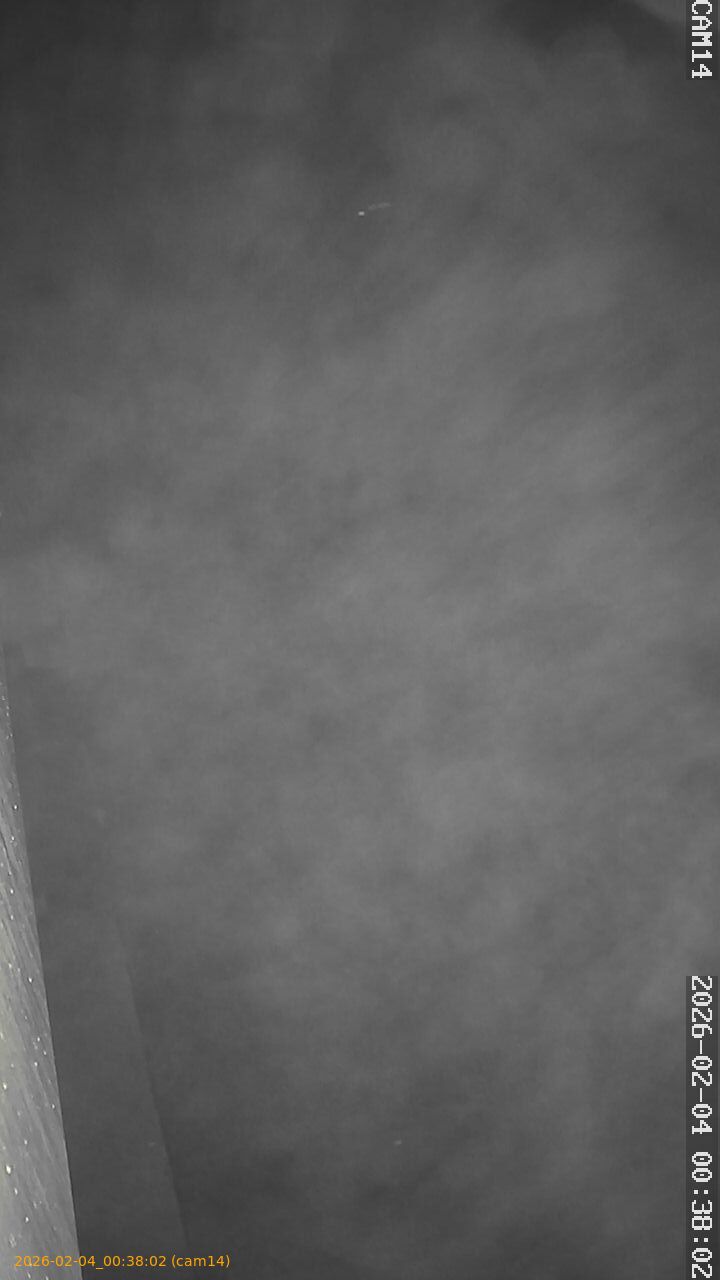 thumbnail_20260204003802