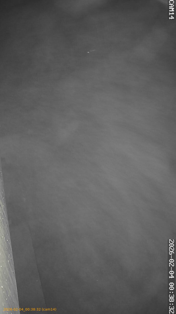 thumbnail_20260204003832