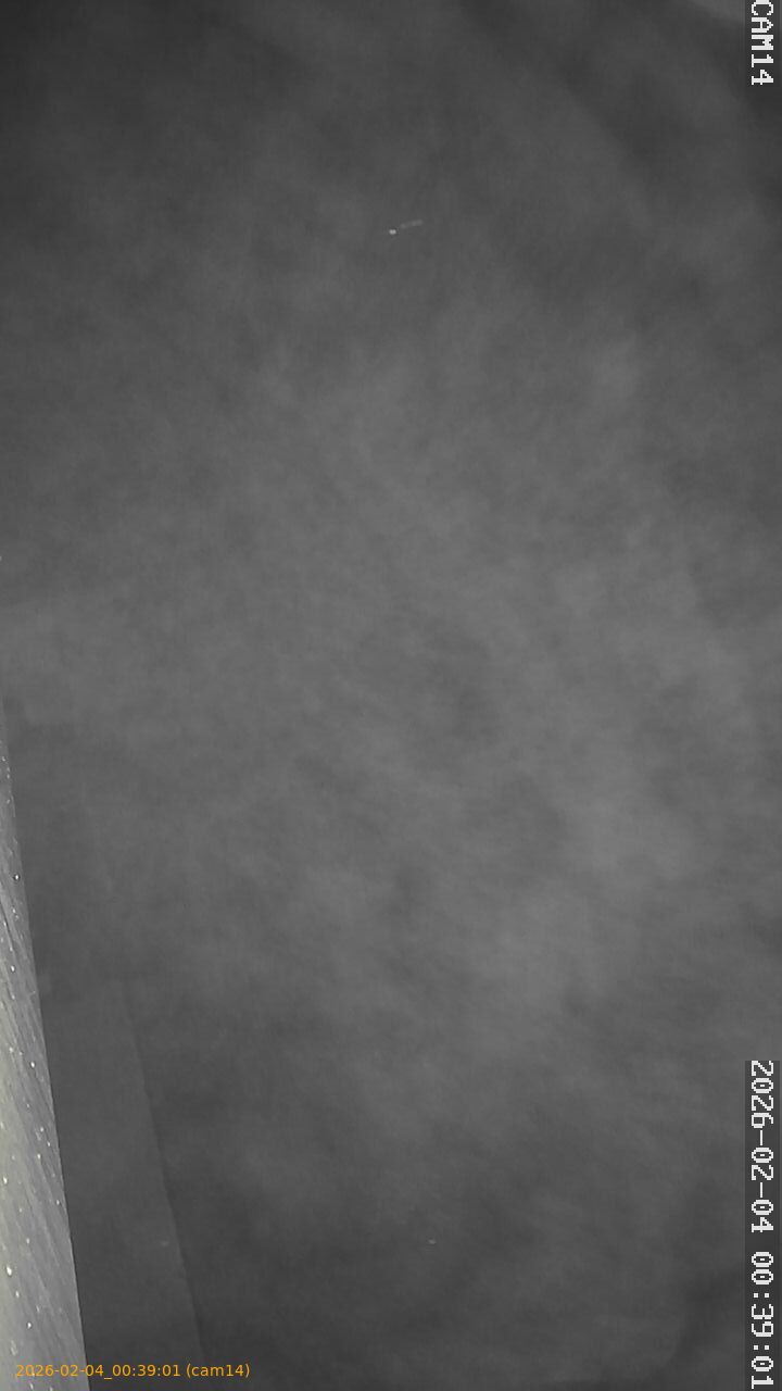 thumbnail_20260204003901