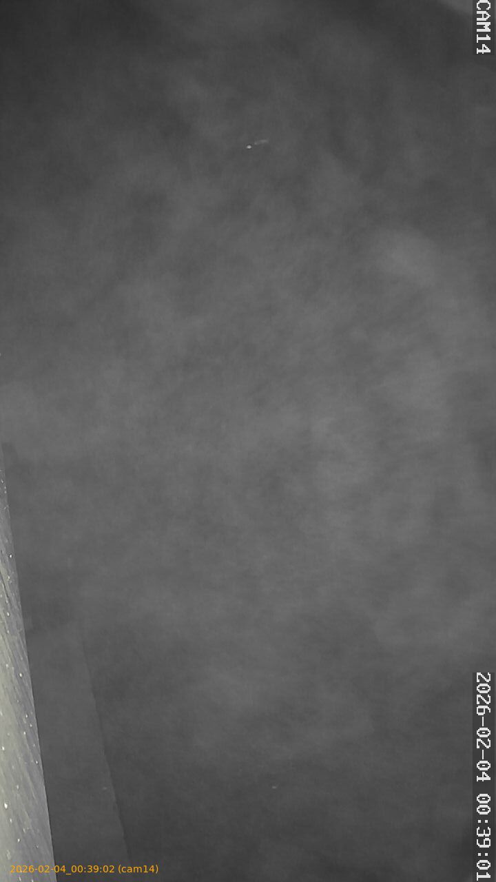 thumbnail_20260204003902