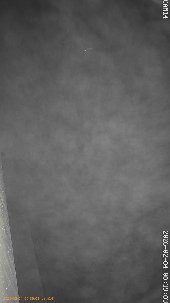 thumbnail_20260204003903