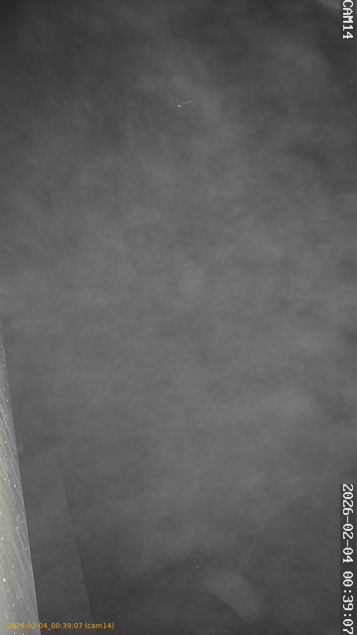 thumbnail_20260204003907