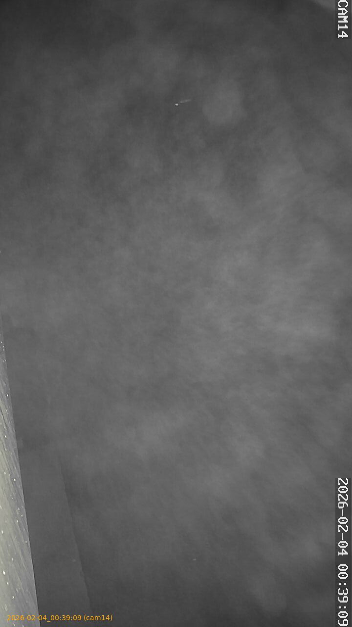 thumbnail_20260204003909