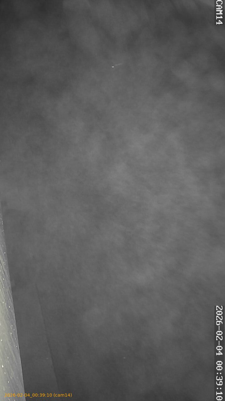 thumbnail_20260204003910