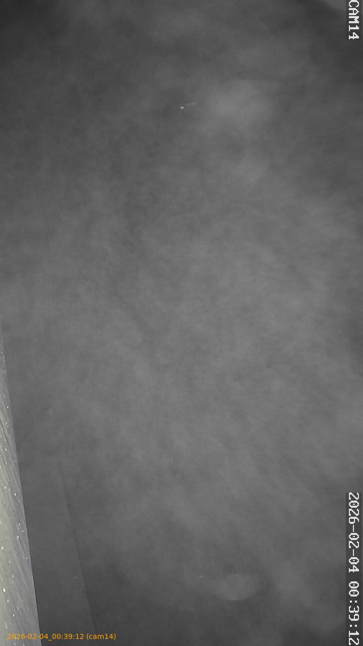 thumbnail_20260204003912