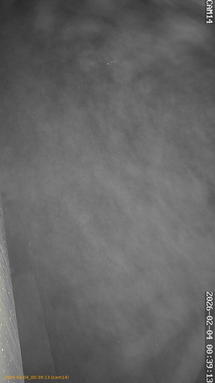 thumbnail_20260204003913