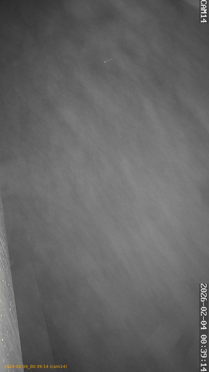 thumbnail_20260204003914