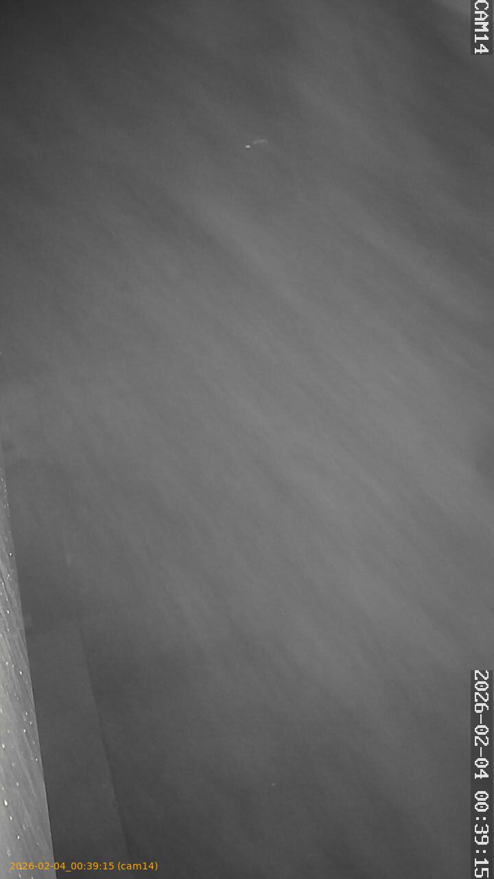 thumbnail_20260204003915