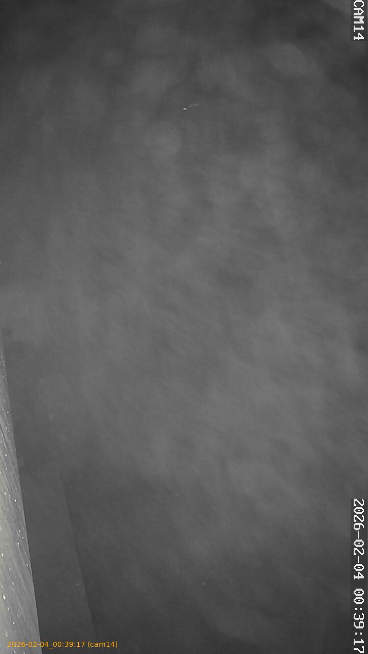 thumbnail_20260204003917