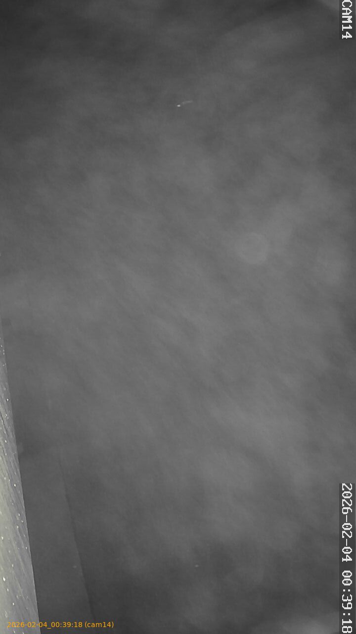 thumbnail_20260204003918