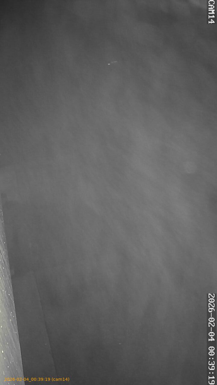 thumbnail_20260204003919