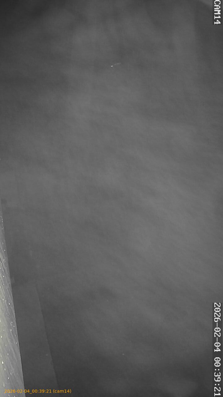 thumbnail_20260204003921