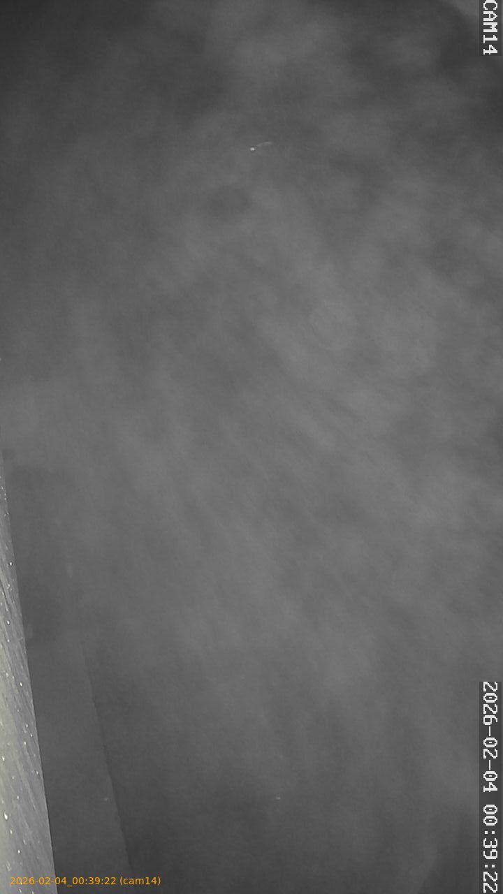 thumbnail_20260204003922