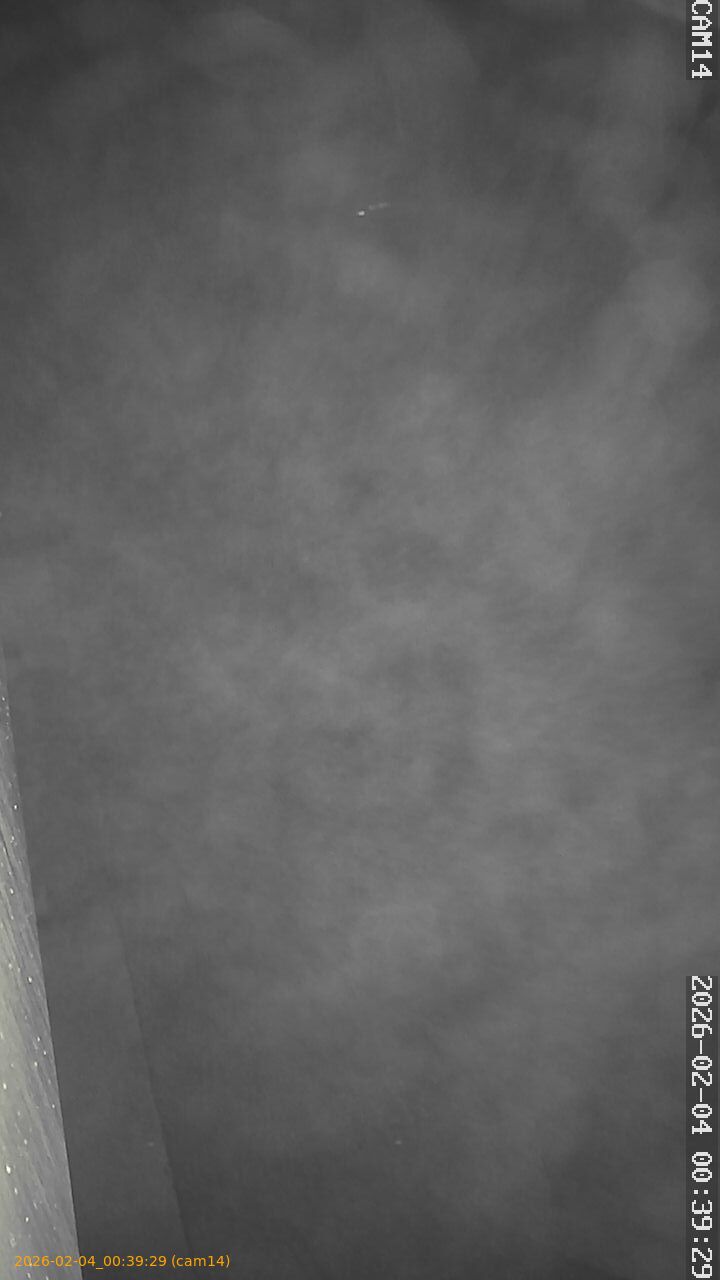 thumbnail_20260204003929