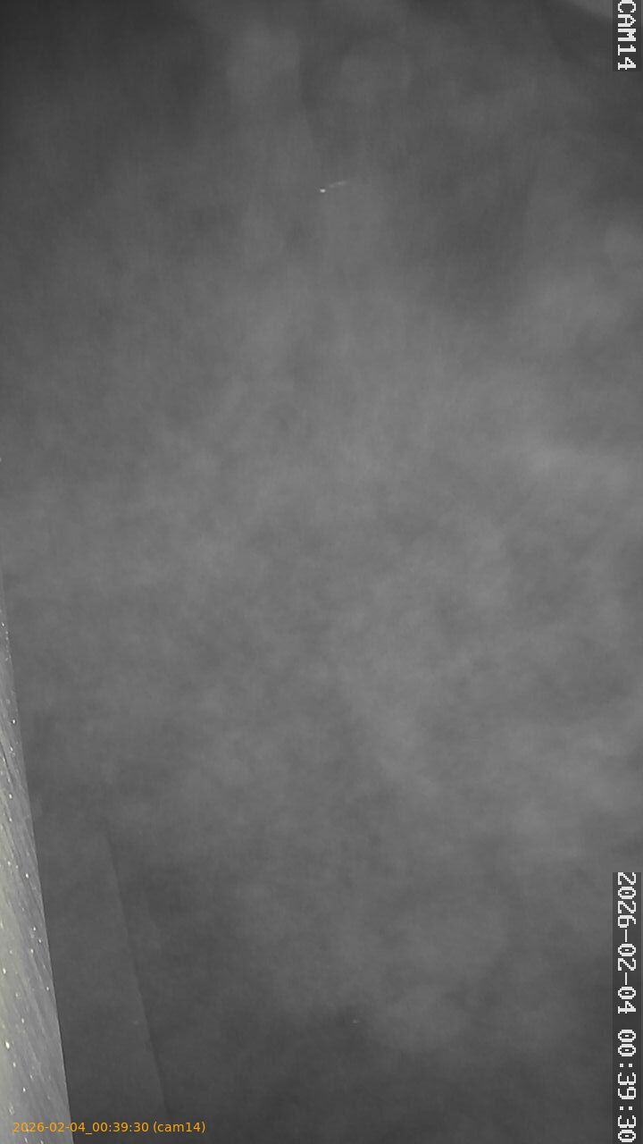 thumbnail_20260204003930