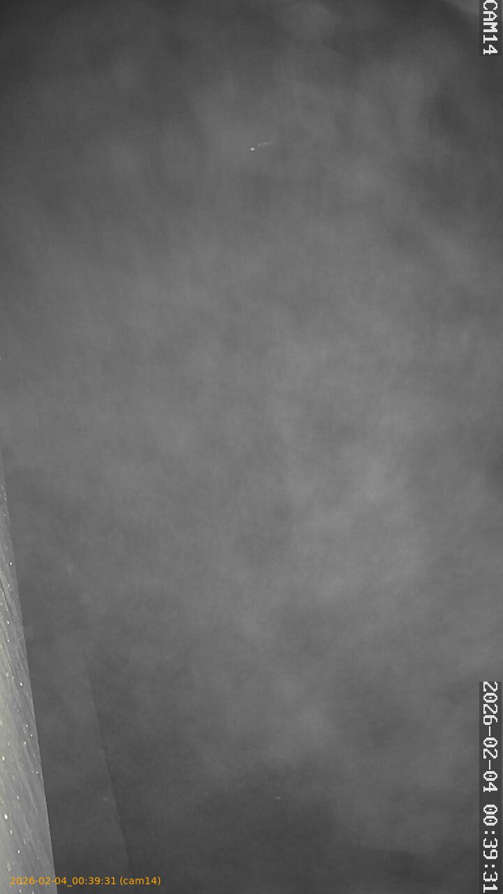 thumbnail_20260204003931