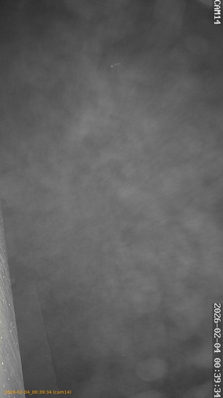 thumbnail_20260204003934