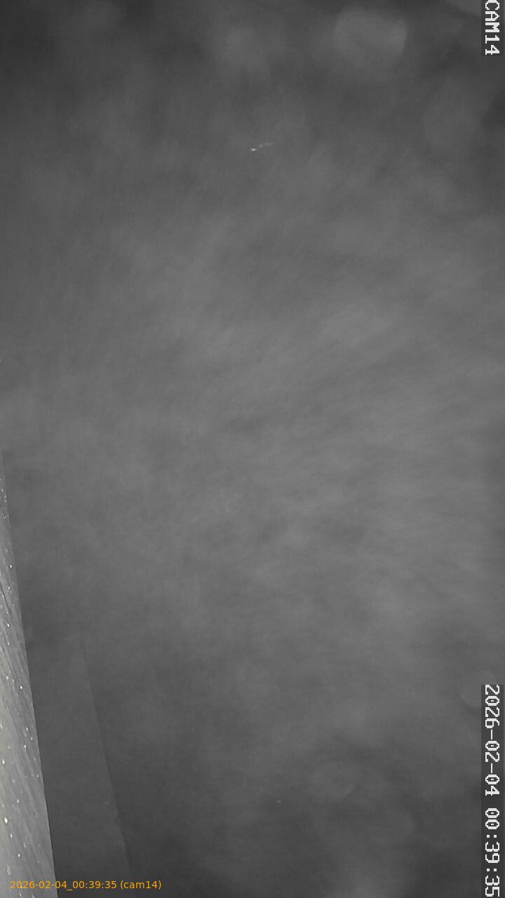 thumbnail_20260204003935