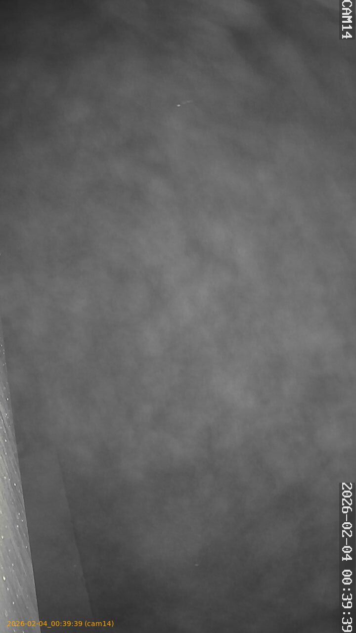 thumbnail_20260204003939