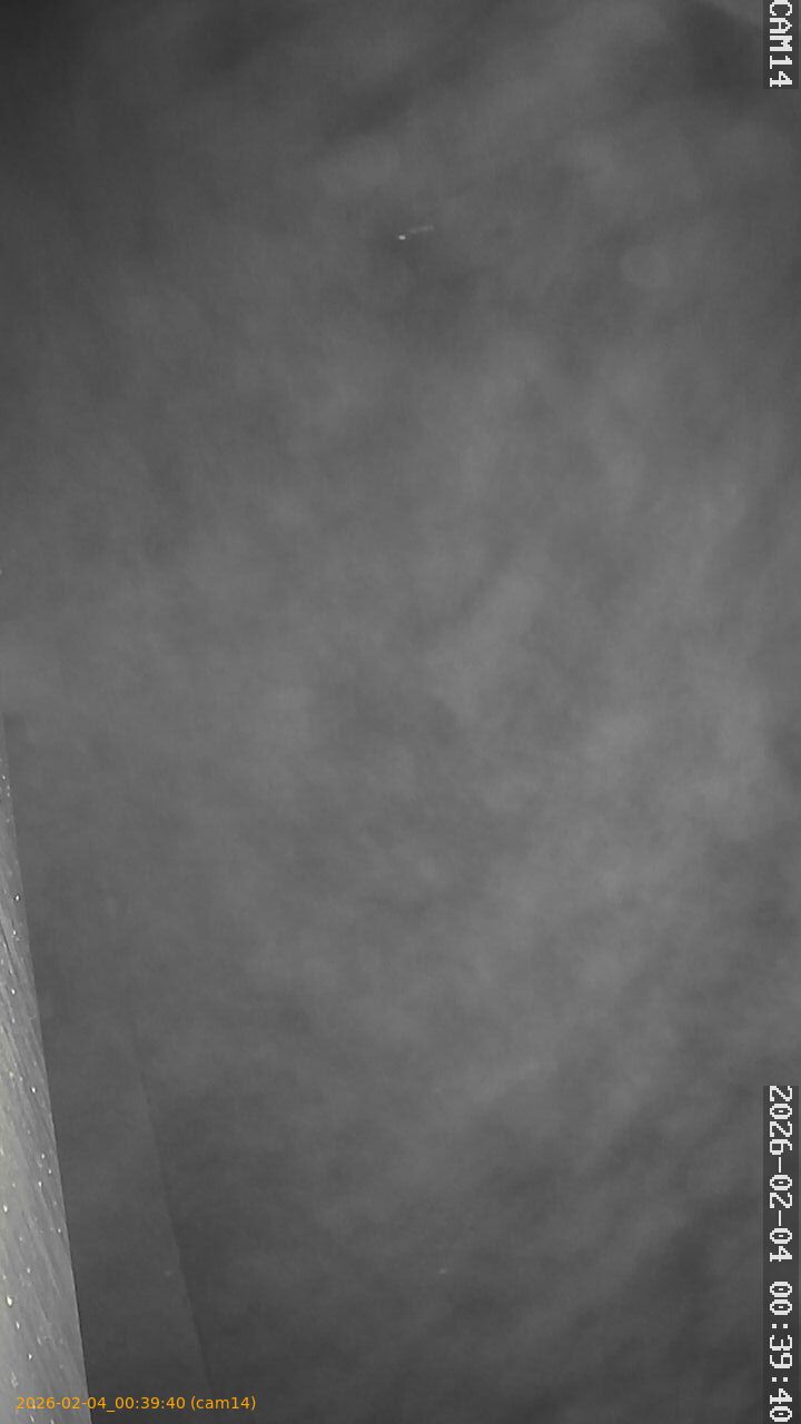 thumbnail_20260204003940