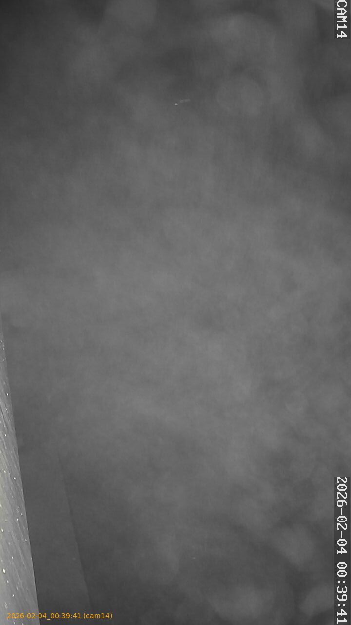 thumbnail_20260204003941