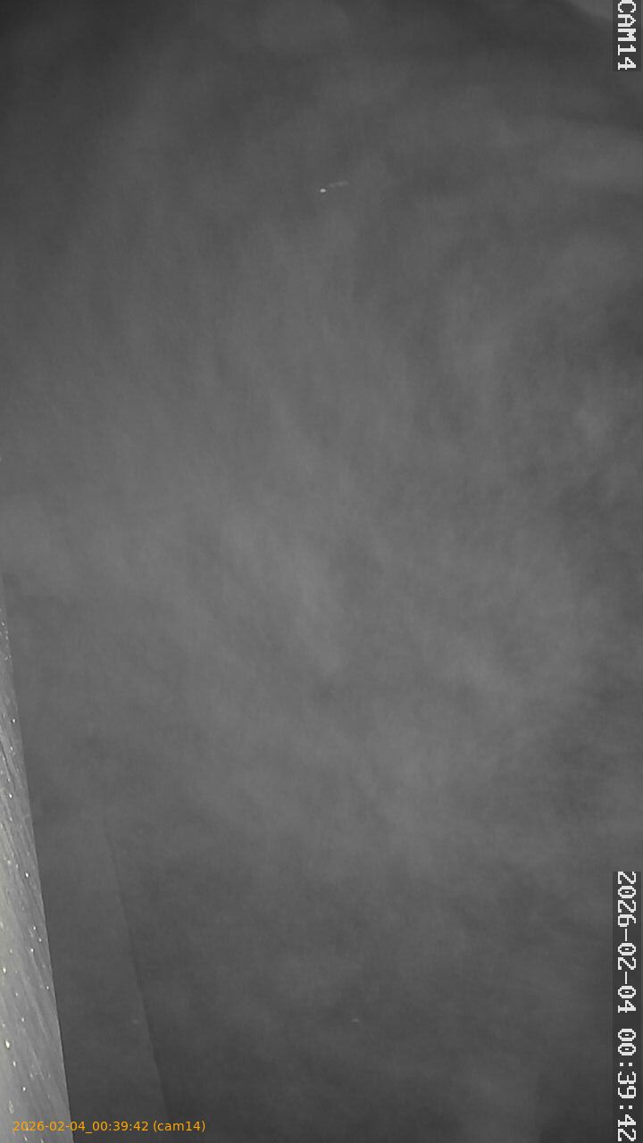 thumbnail_20260204003942