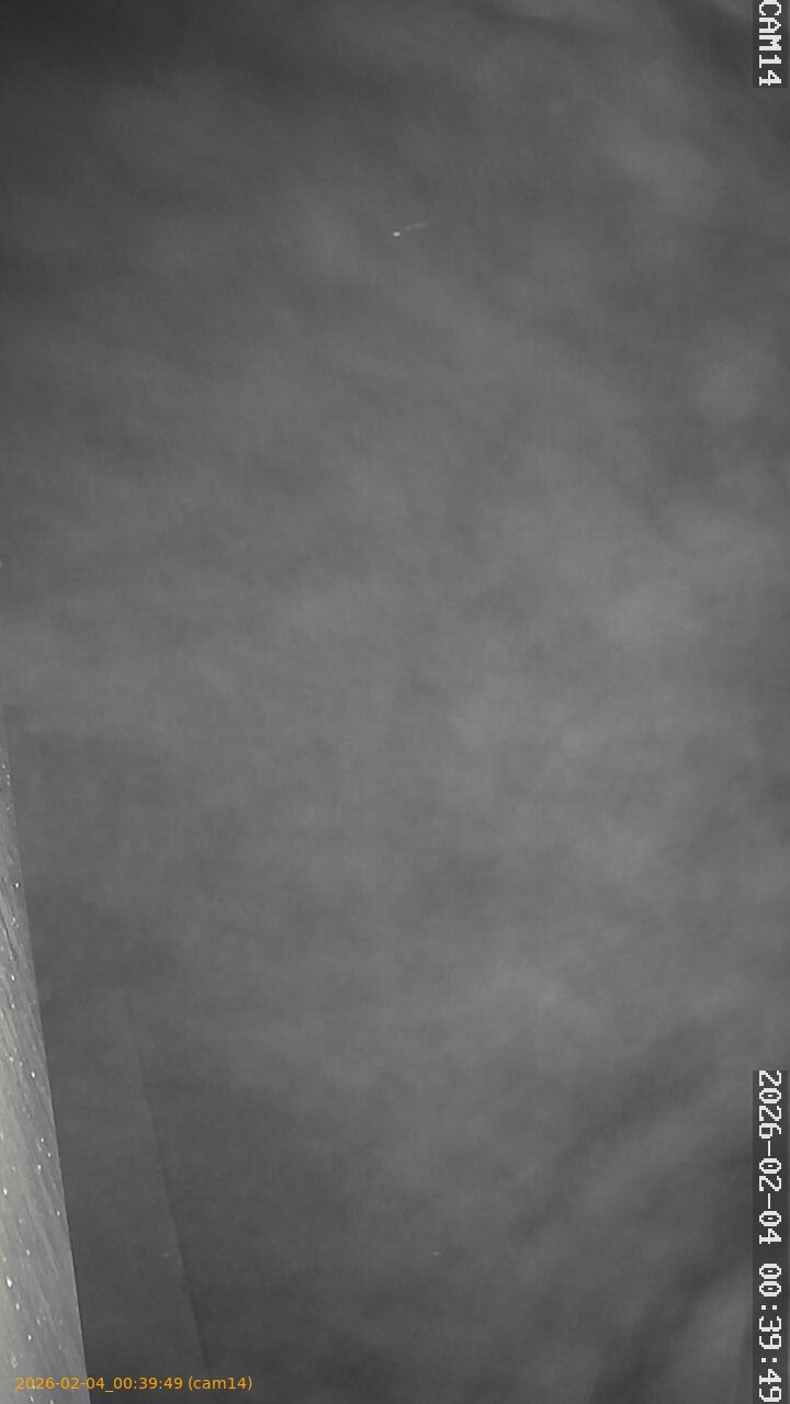 thumbnail_20260204003949