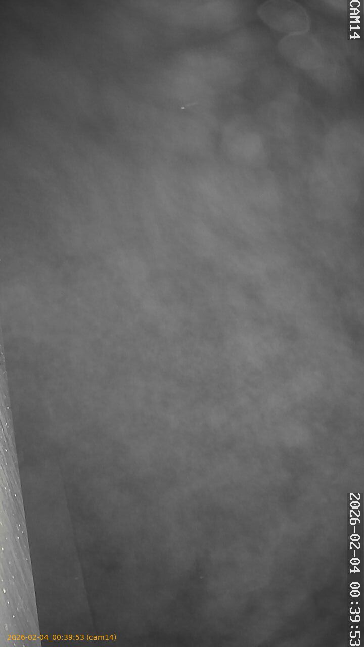 thumbnail_20260204003953