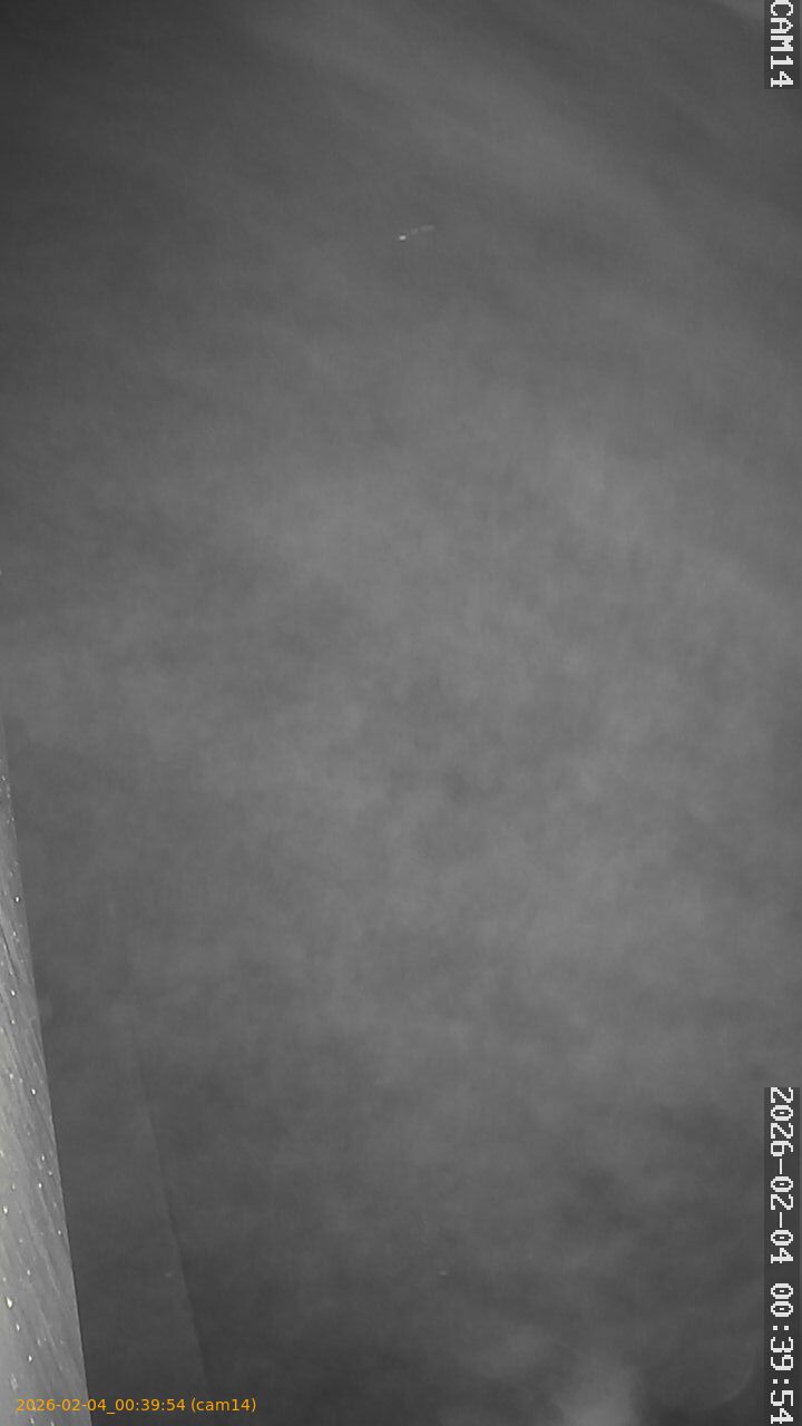 thumbnail_20260204003954