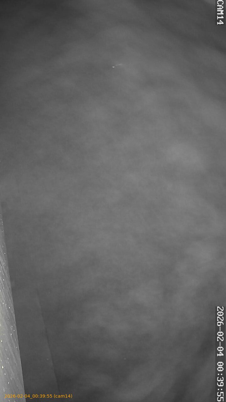 thumbnail_20260204003955