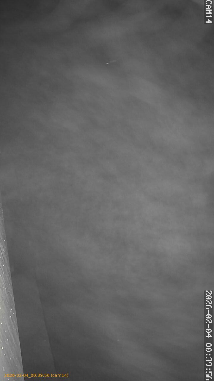 thumbnail_20260204003956