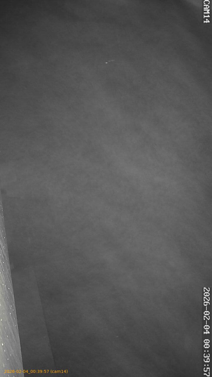 thumbnail_20260204003957