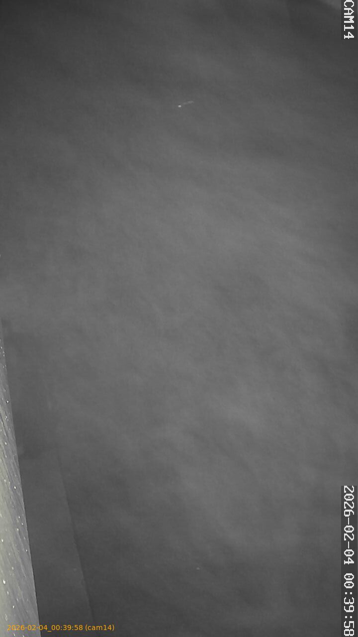 thumbnail_20260204003958