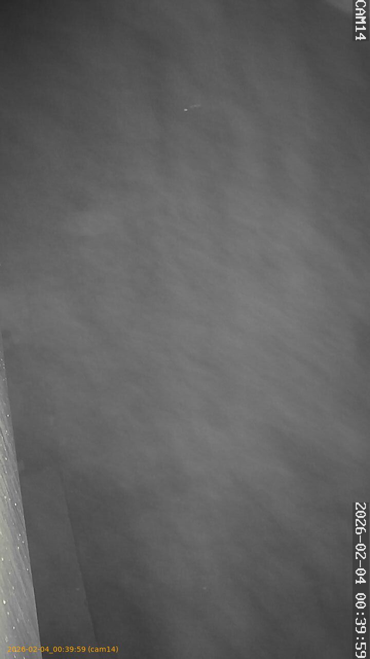 thumbnail_20260204003959