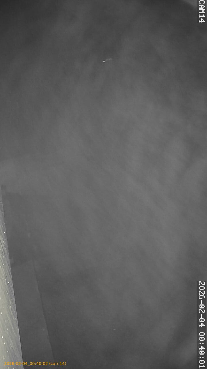 thumbnail_20260204004002