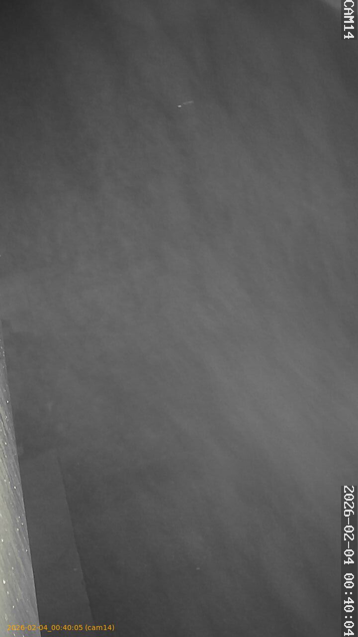 thumbnail_20260204004005