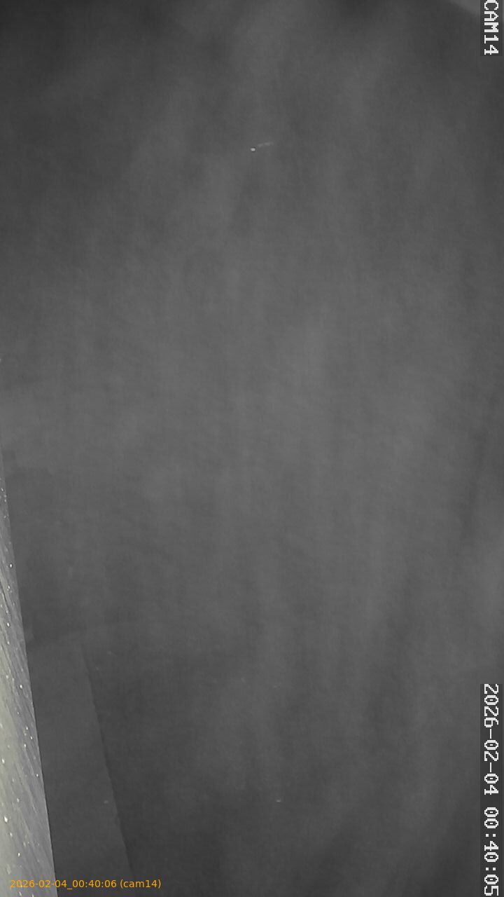 thumbnail_20260204004006