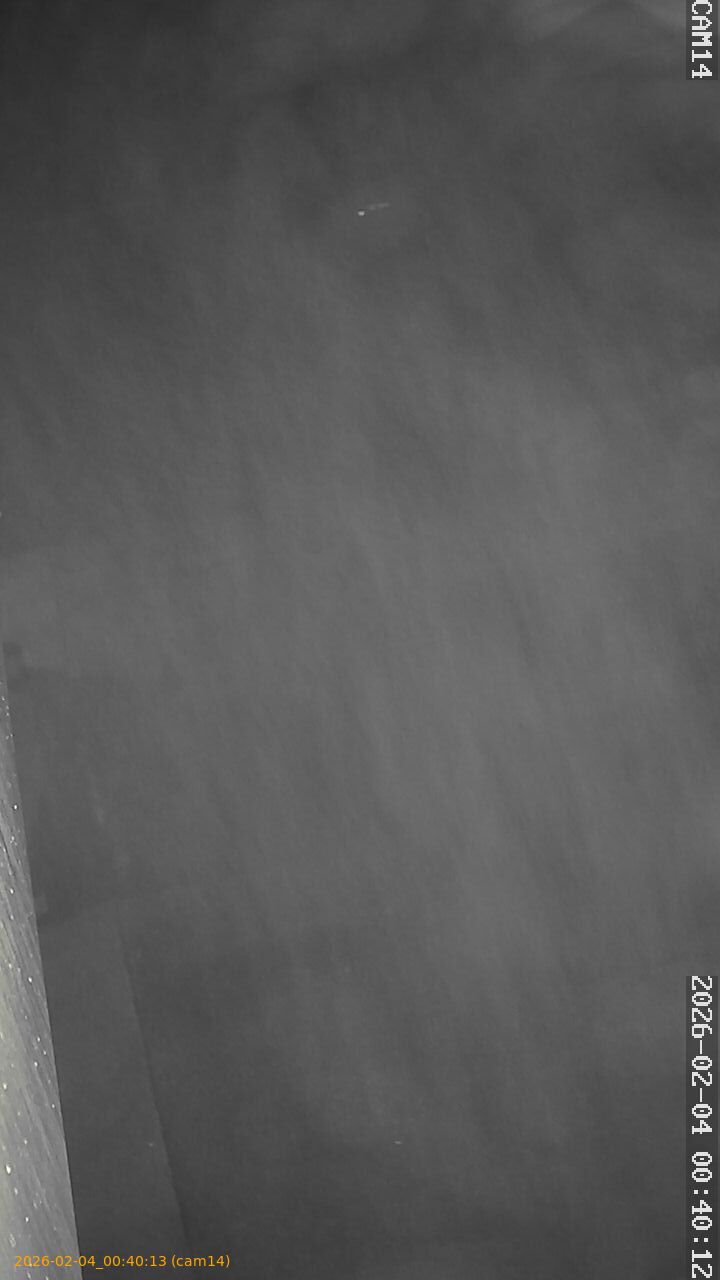 thumbnail_20260204004013