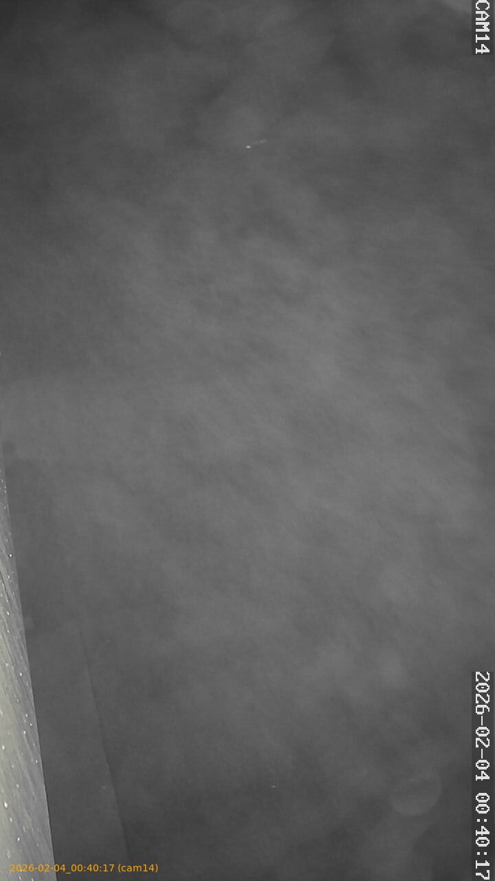 thumbnail_20260204004017