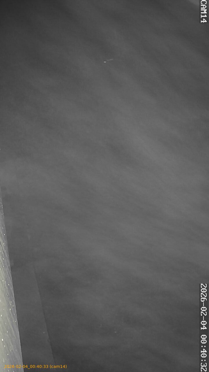 thumbnail_20260204004033