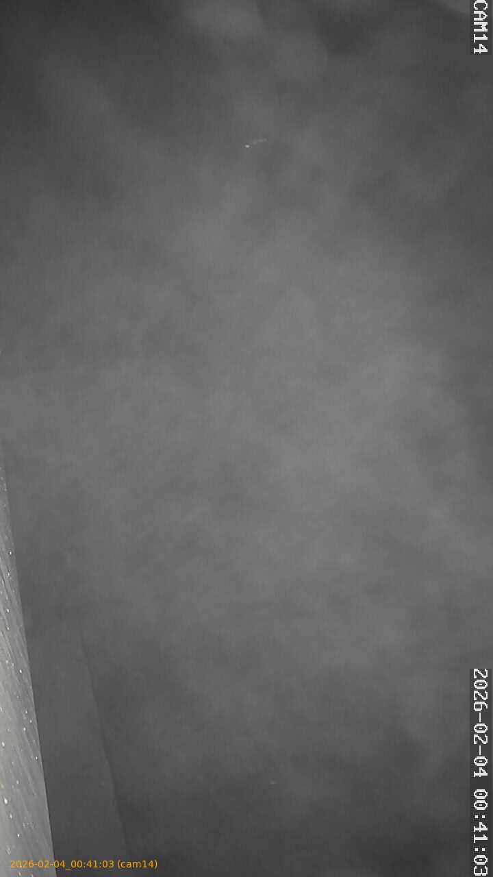 thumbnail_20260204004103