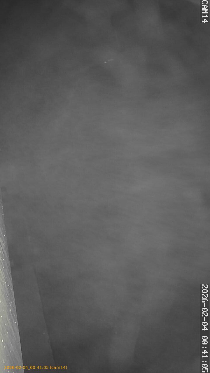 thumbnail_20260204004105