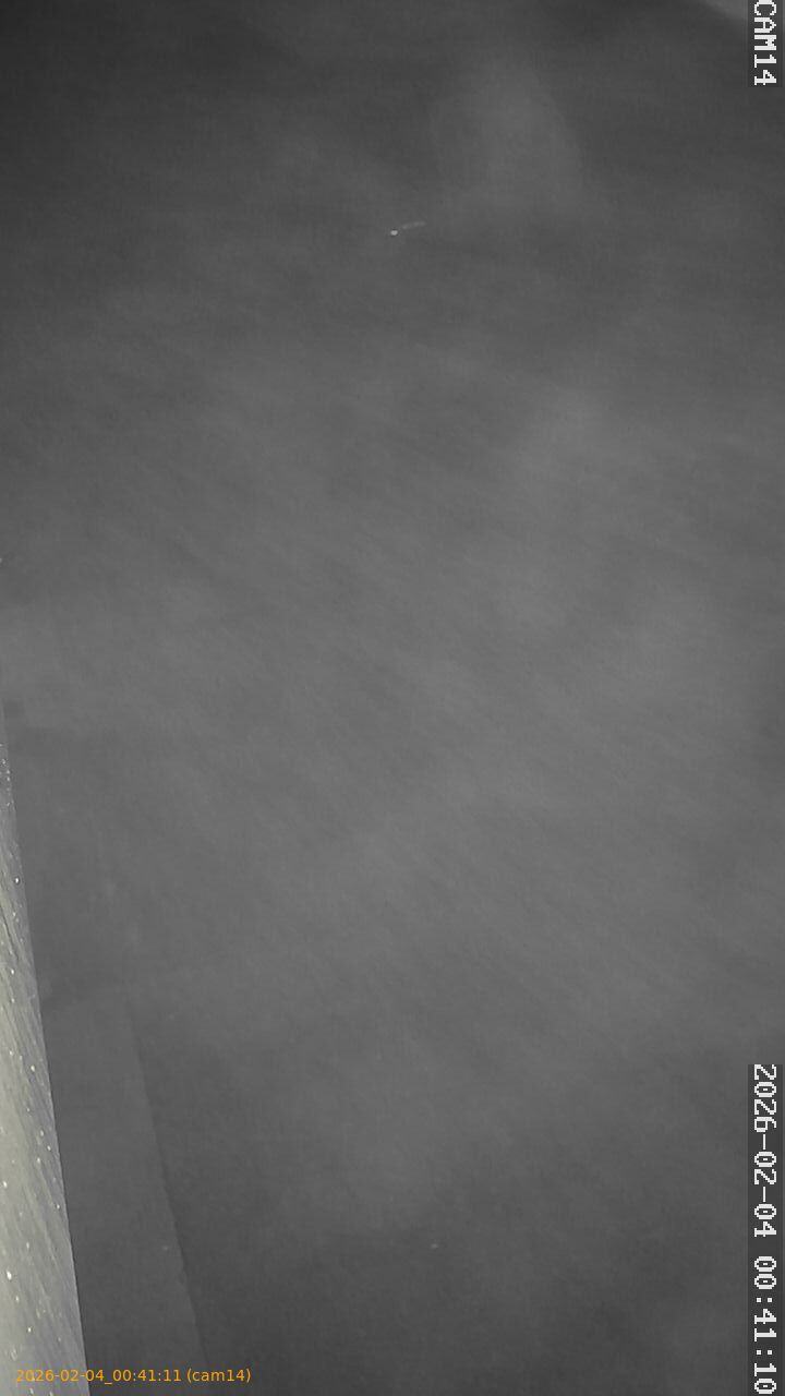 thumbnail_20260204004111